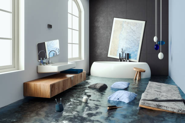  Shallowater, TX Water damage restoration Pros
