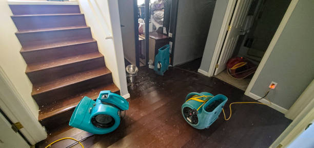 Best Basement water damage restoration  in Shallowater, TX