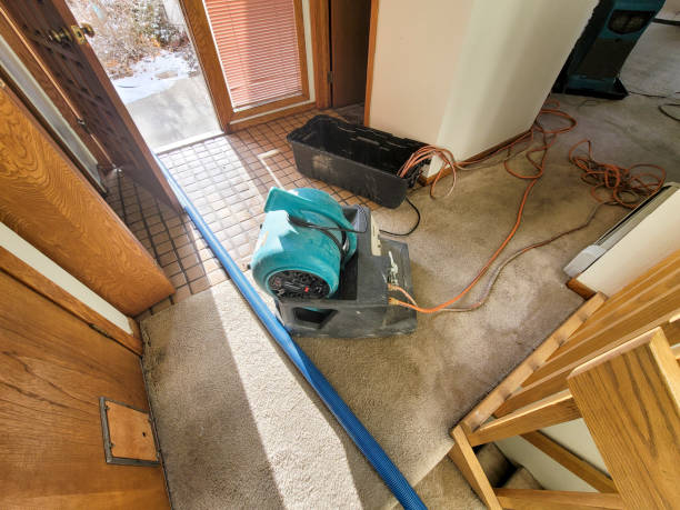 Best Water damage contractors near me  in Shallowater, TX