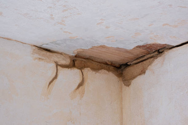 Best Basement water damage restoration  in Shallowater, TX
