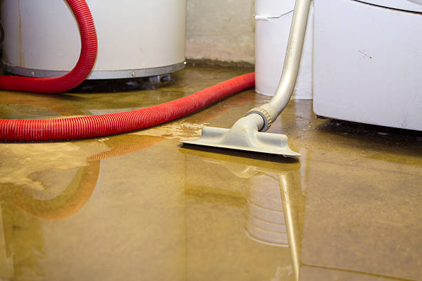 Best 24/7 water damage repair  in Shallowater, TX