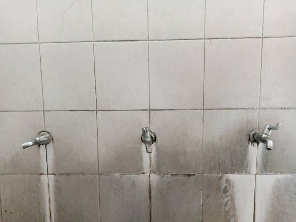 Best Flood damage cleanup  in Shallowater, TX