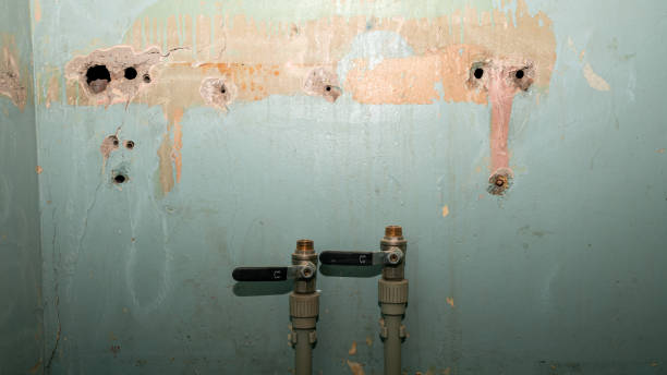 Best Mold removal after water damage  in Shallowater, TX