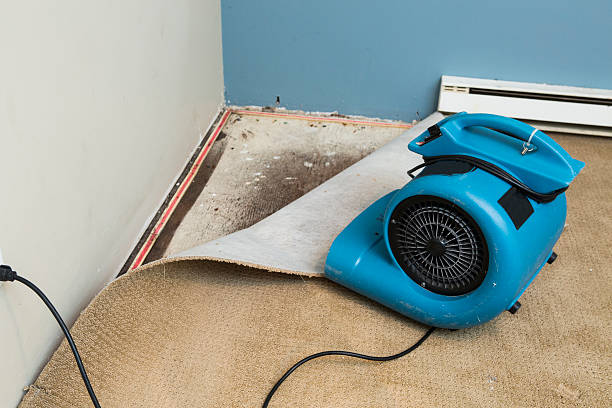 Best Flood damage cleanup  in Shallowater, TX